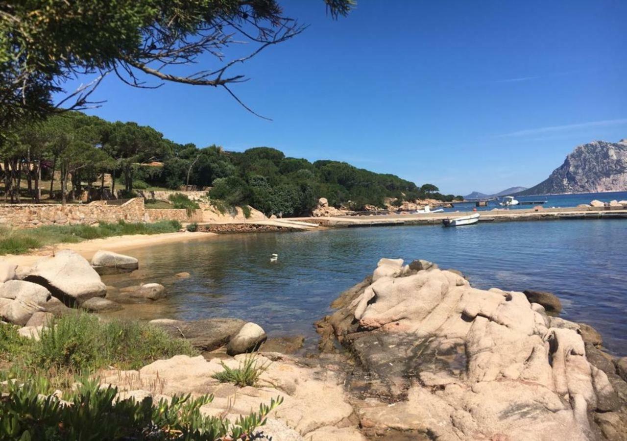 Casa Asparagi San Teodoro  Eksteriør bilde